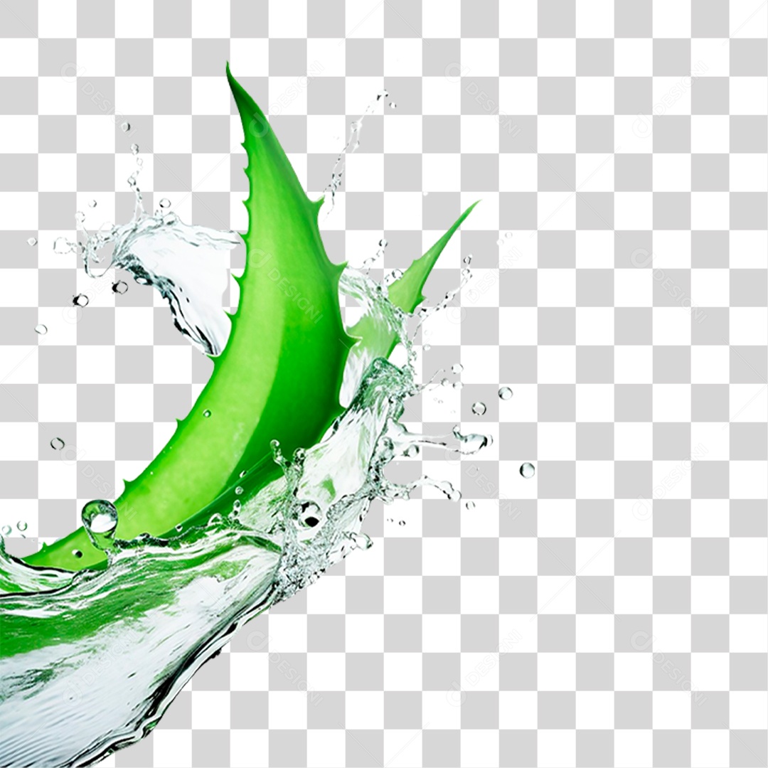 Folhas de Babosa PNG Transparente