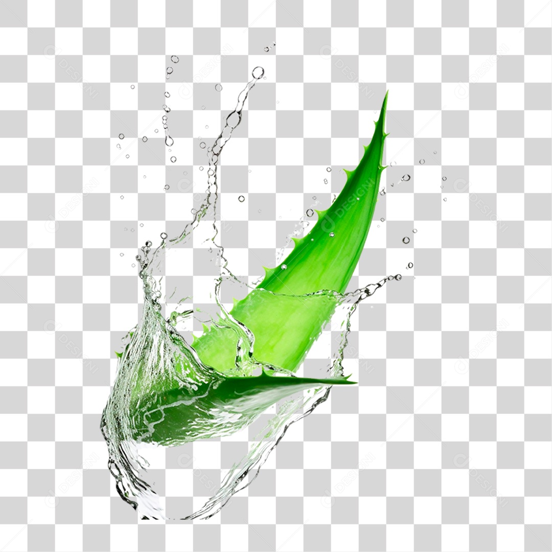 Folha de Babosa PNG Transparente