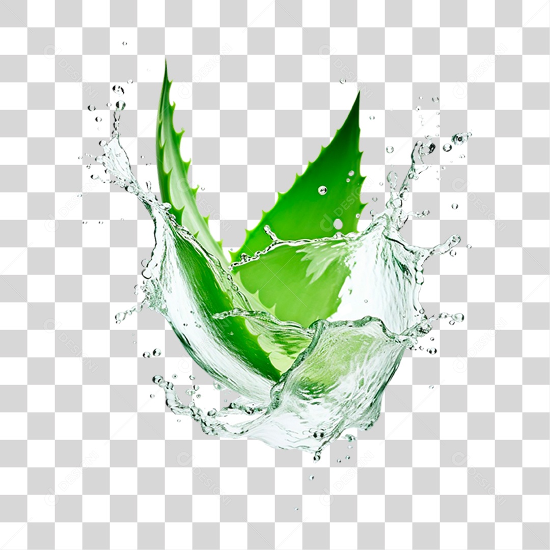 Folhas de Babosa PNG Transparente