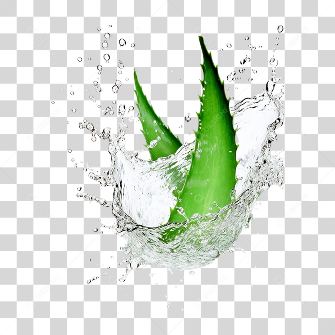 Folhas de Babosa PNG Transparente