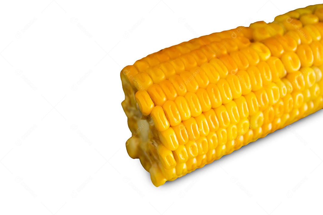 Milho cozido isolado em fundo branco