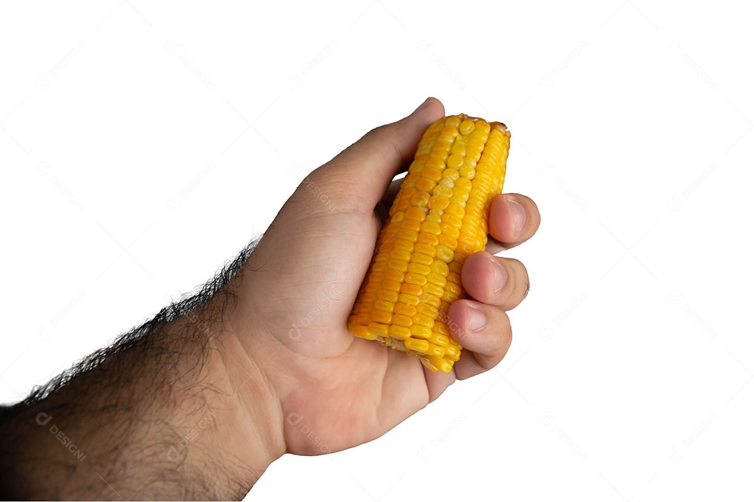 Mão segurando milho cozido