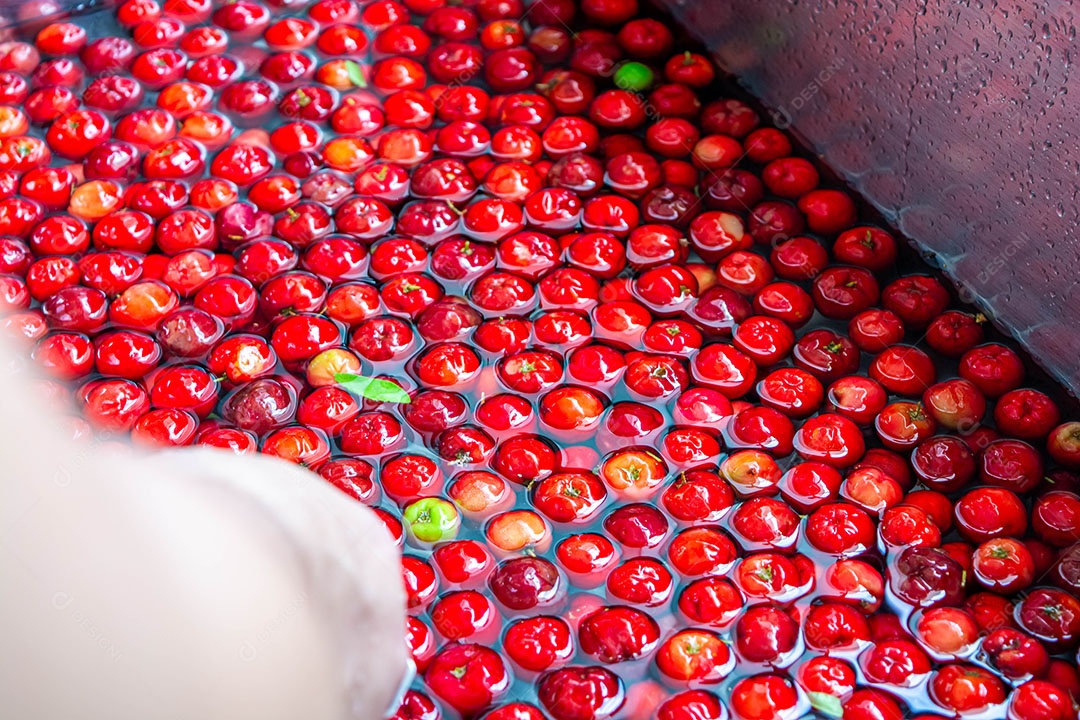 Lavando acerola na pia.