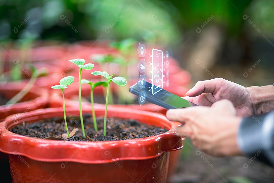 Pessoa de negócio empresária