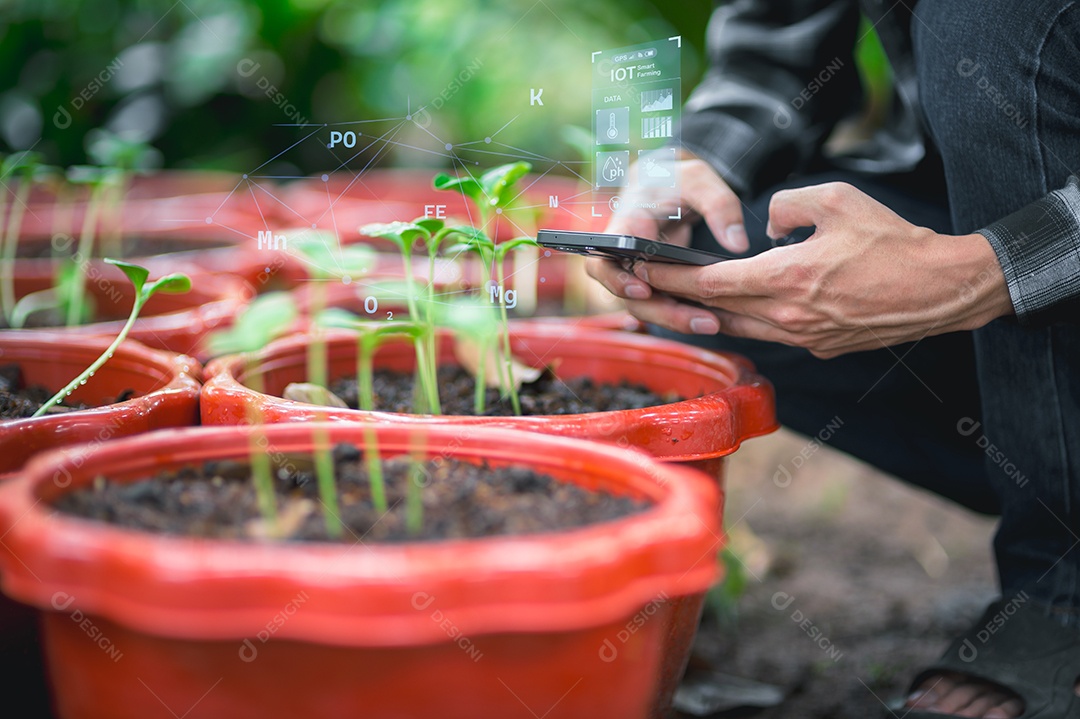 Pessoa de negócio empresária