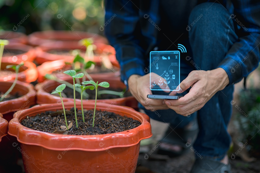 Pessoa de negócio empresária
