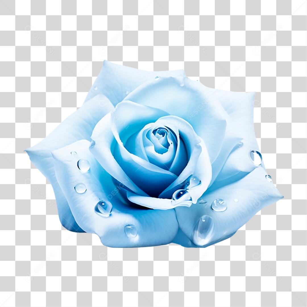 Rosa Azul PNG Transparente