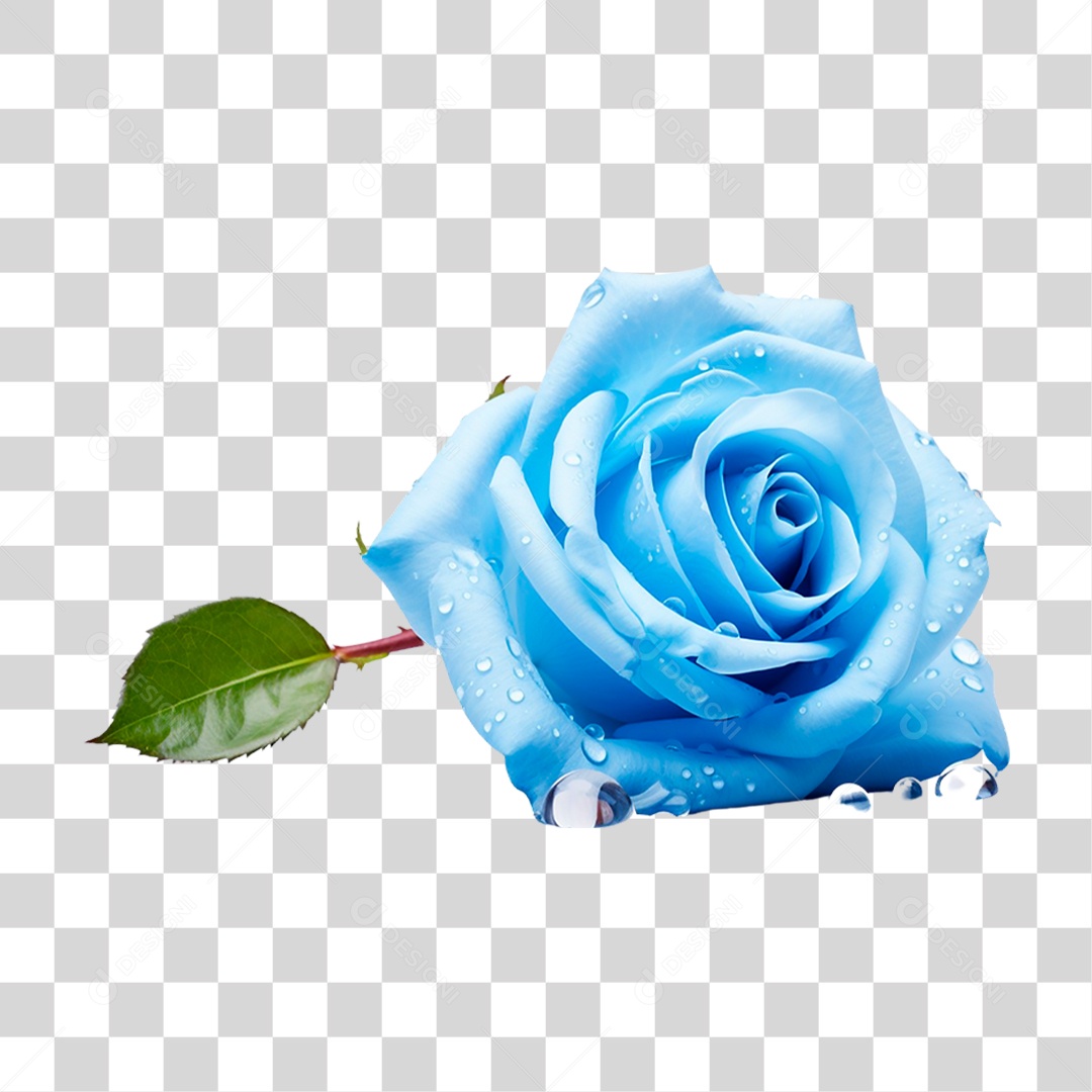 Rosa Azul PNG Transparente