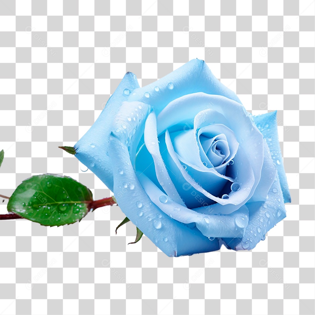 Rosa Azul PNG Transparente