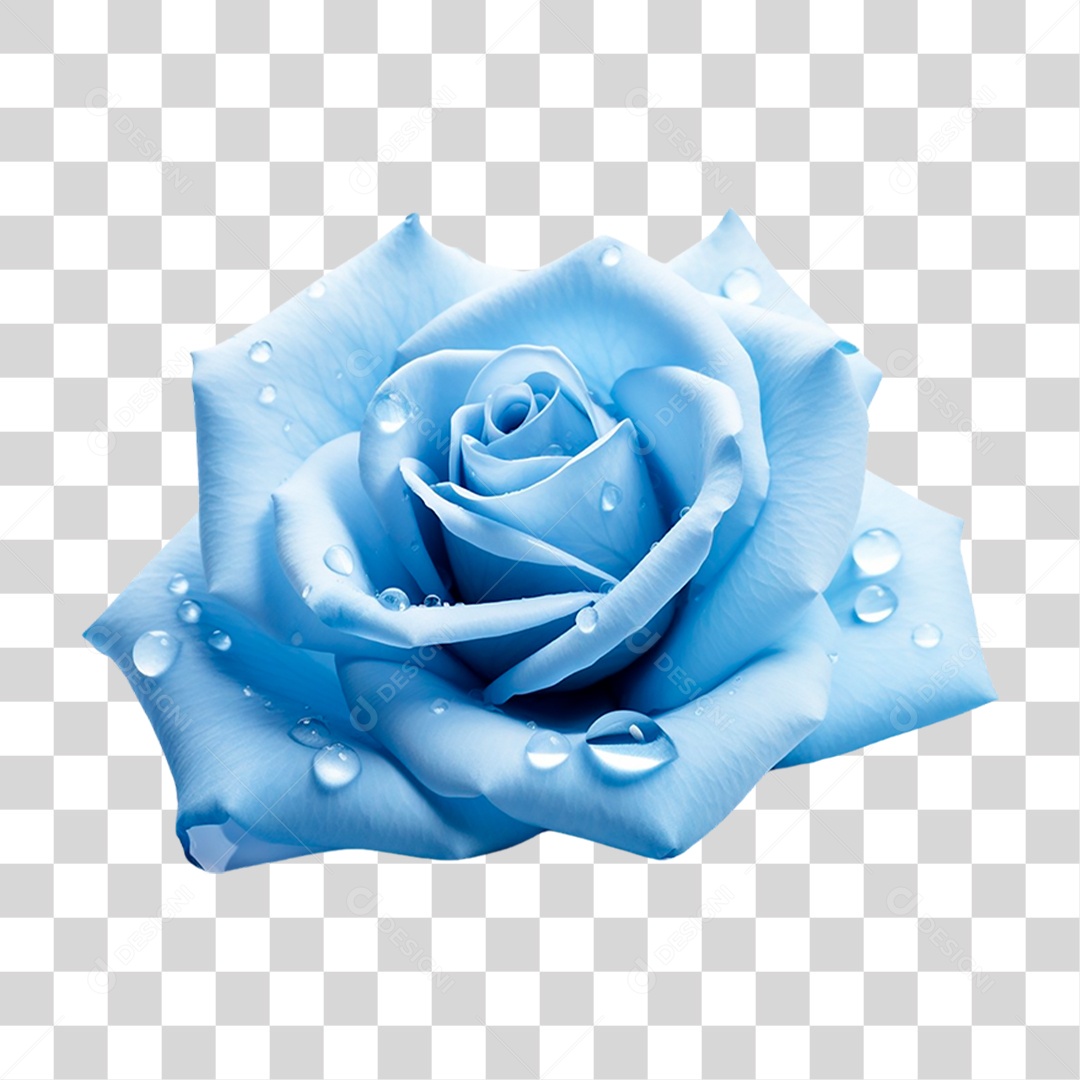 Rosa Azul PNG Transparente