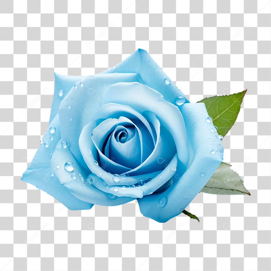 Rosa Azul PNG Transparente