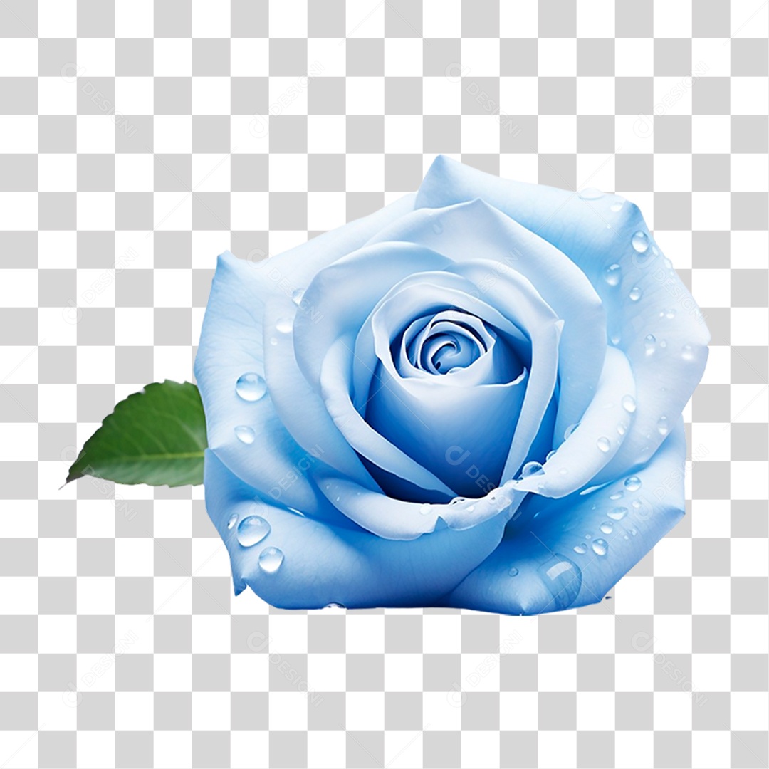 Rosa Azul PNG Transparente