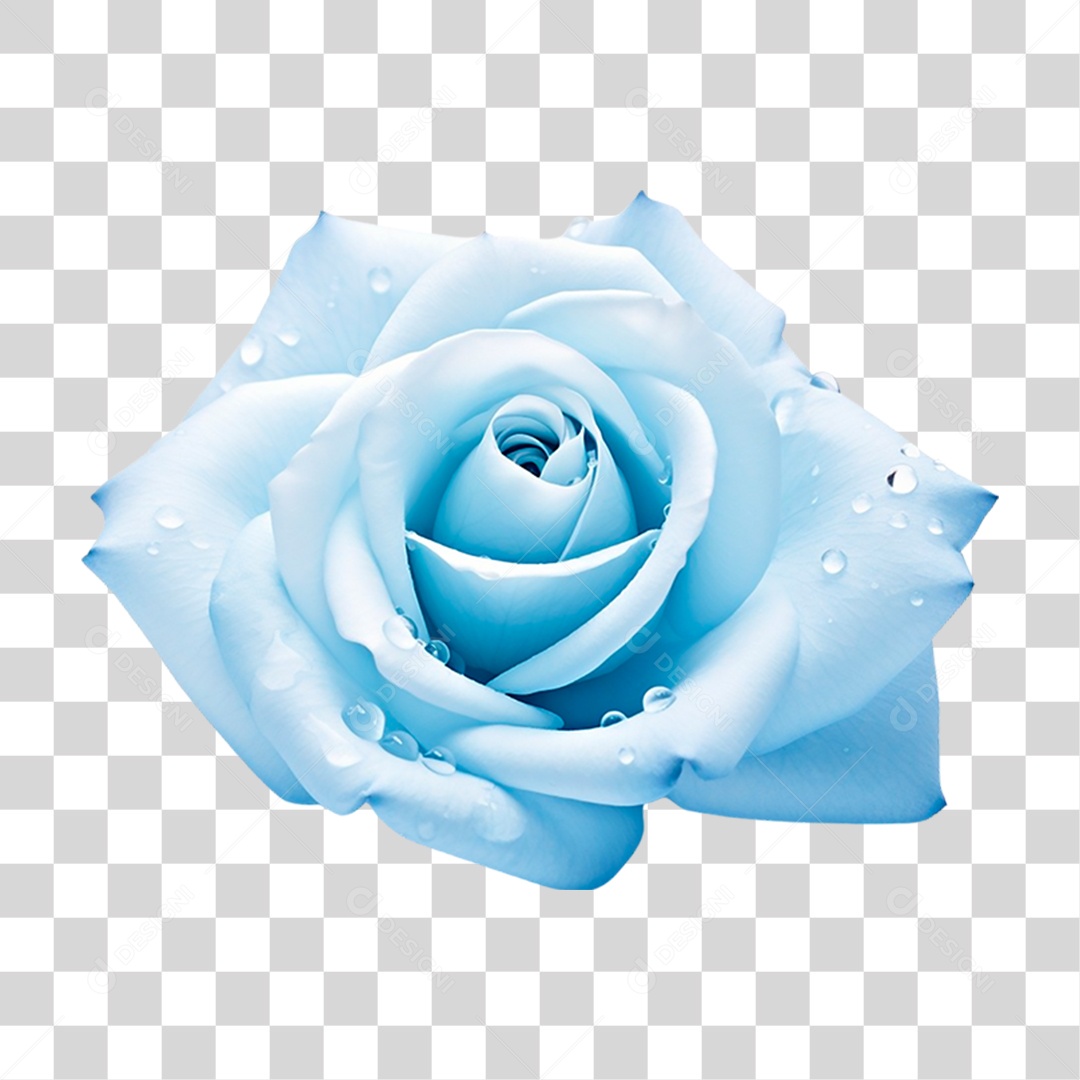 Rosa Azul PNG Transparente