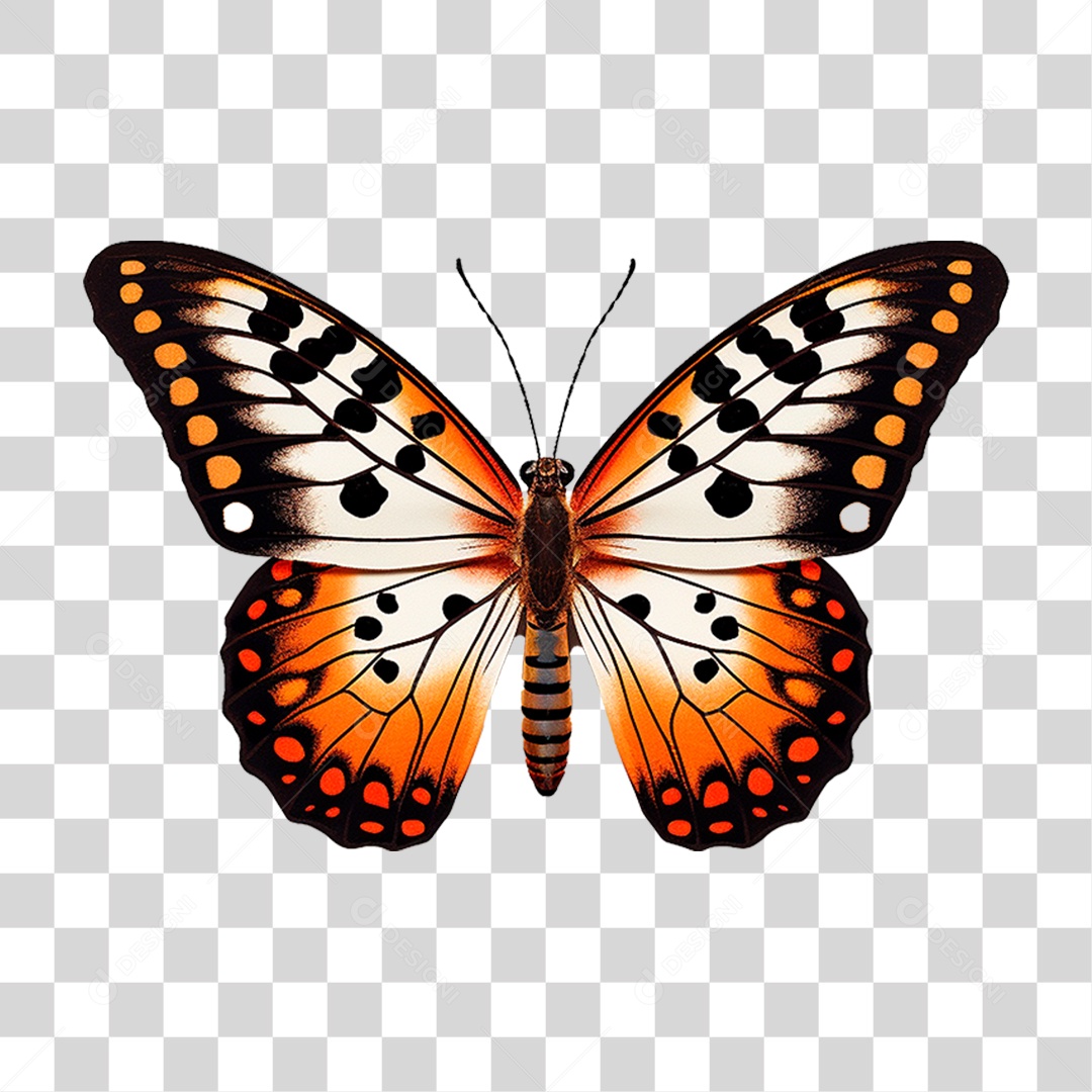 Borboleta Colorida PNG Transparente