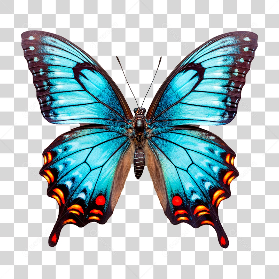 Borboleta Colorida PNG Transparente