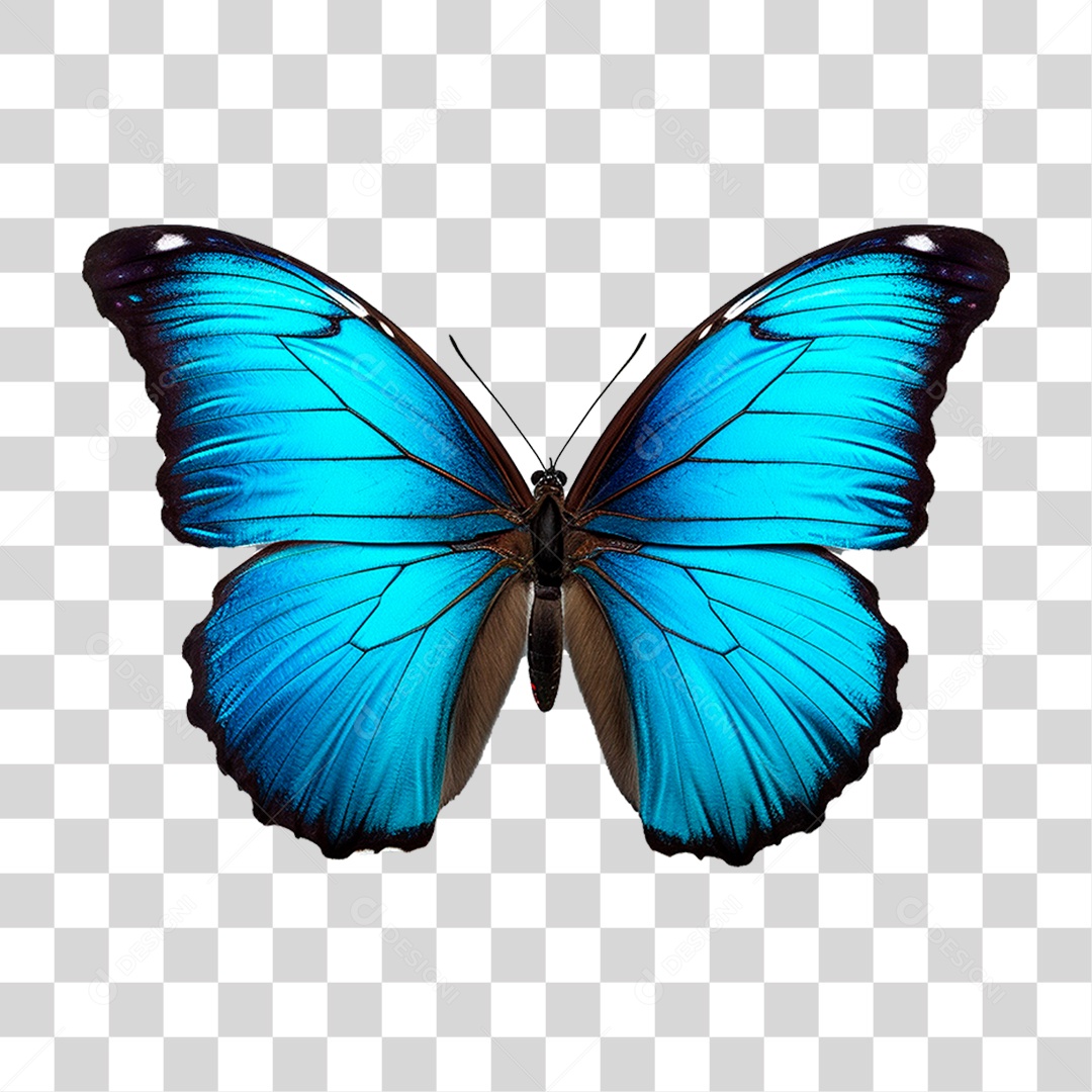 Borboleta Azul PNG Transparente