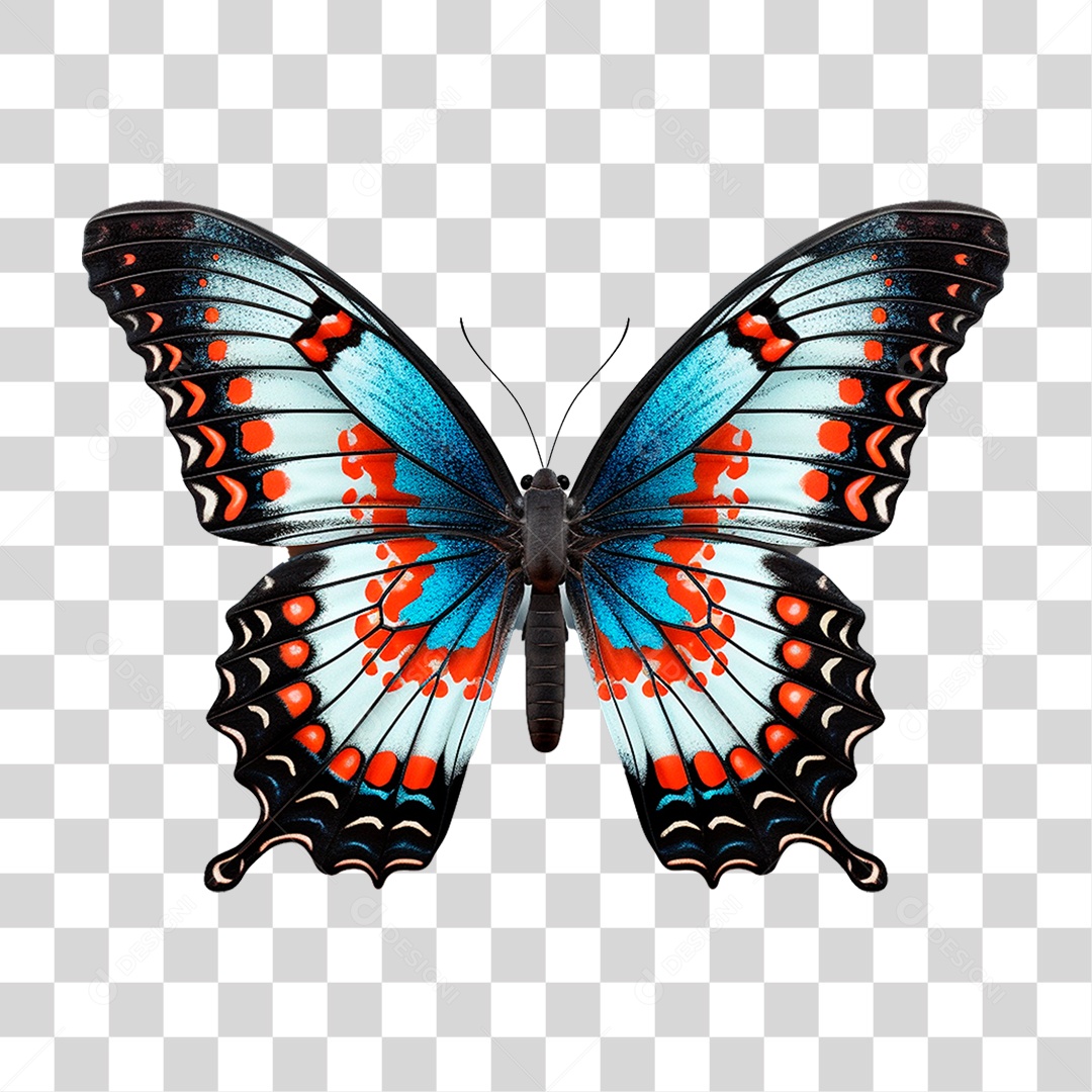 Borboleta Colorida PNG Transparente