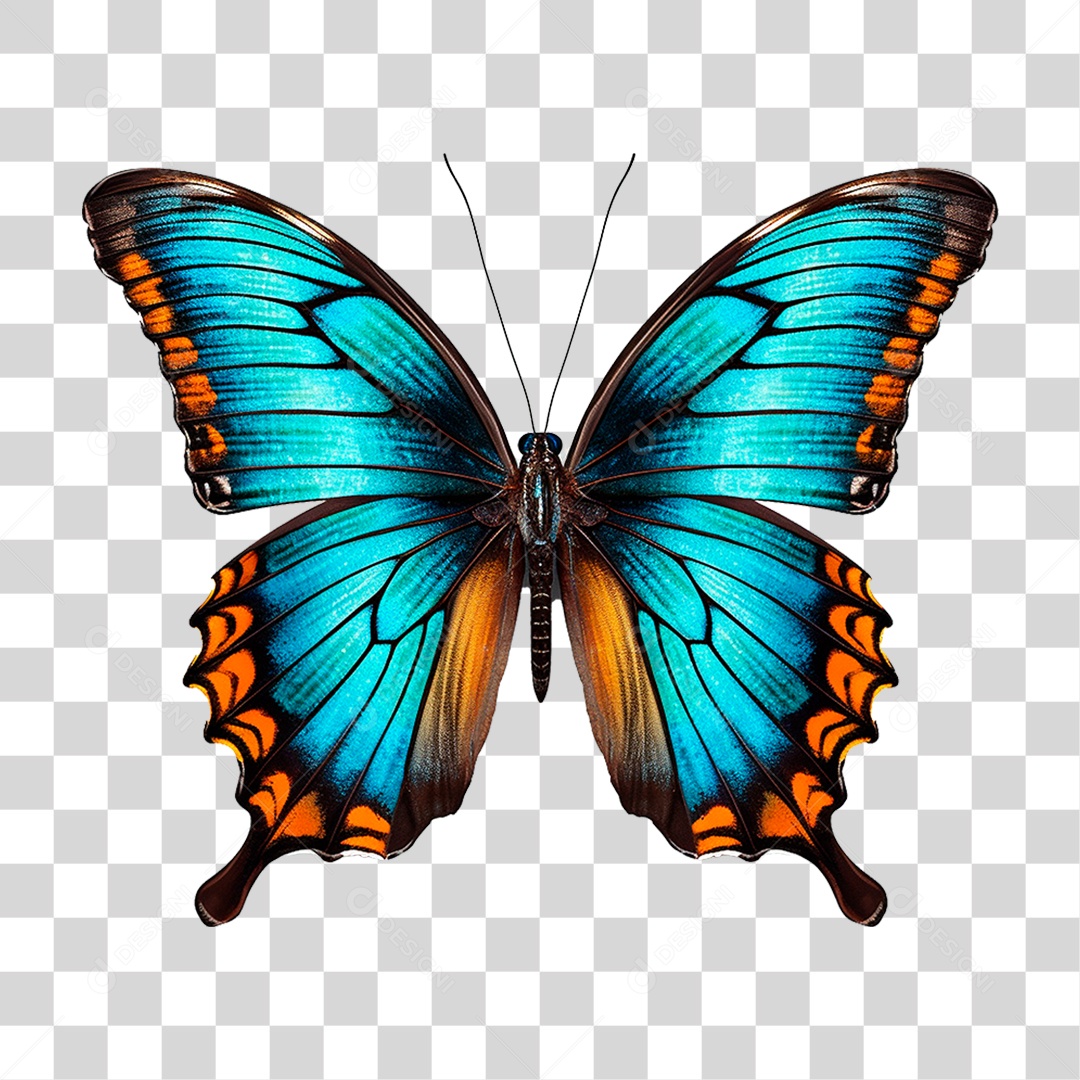 Borboleta Colorida PNG Transparente