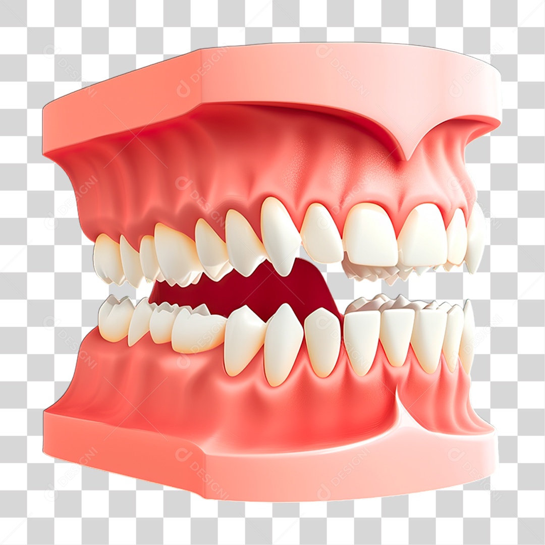 Dentadura PNG Transparente