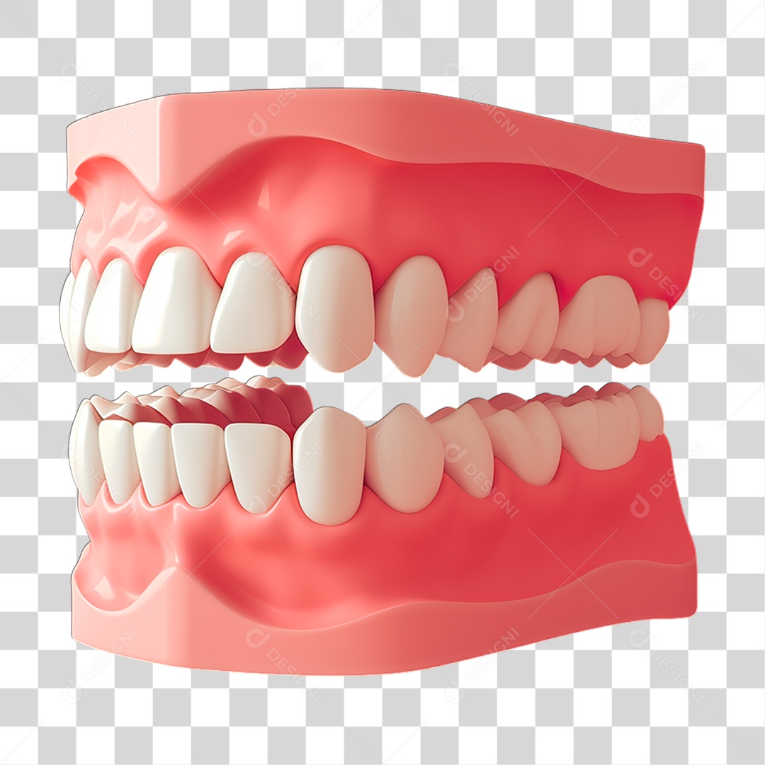 Dentadura PNG Transparente