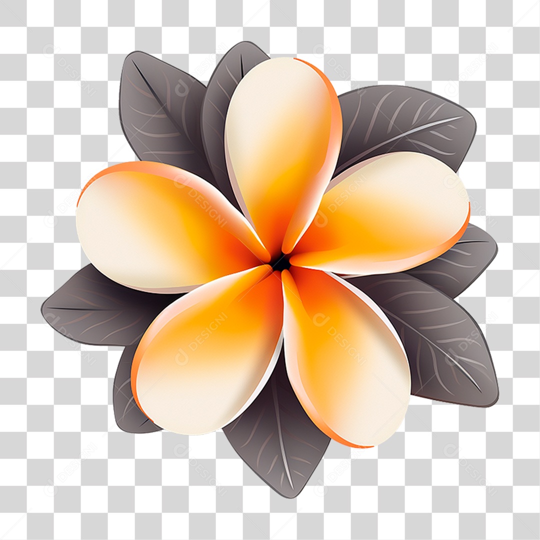 Flor de Frangipani PNG Transparente