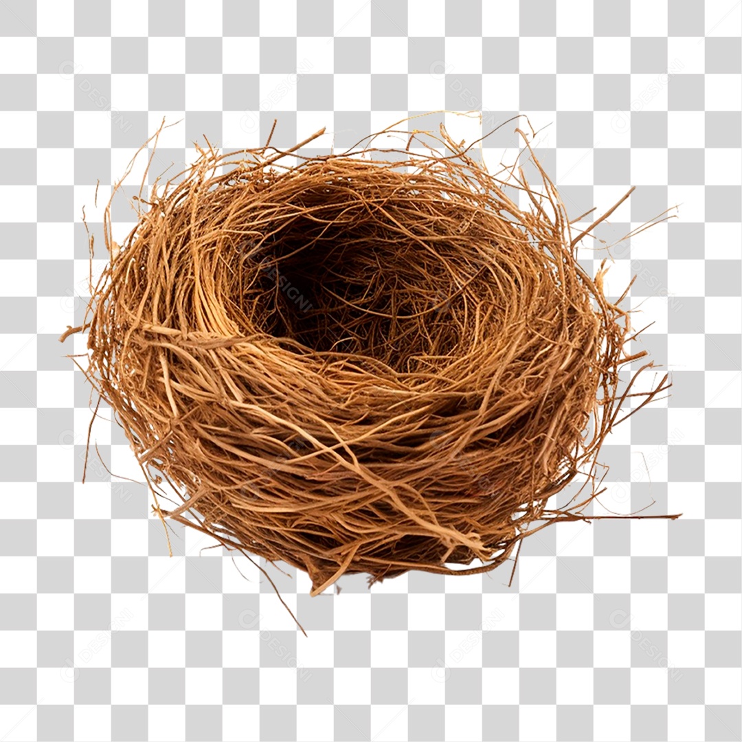 Ninho PNG Transparente