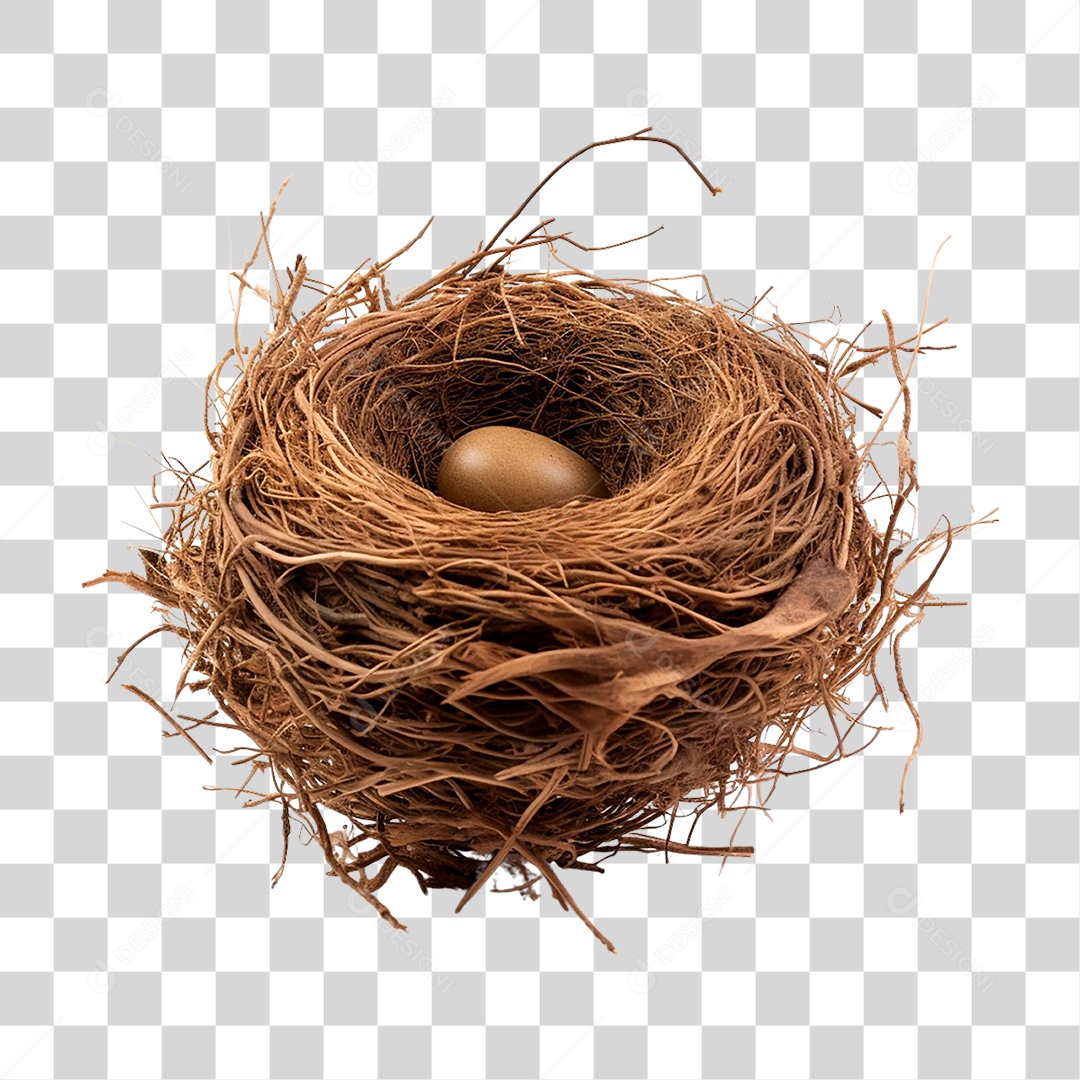 Ovo no Ninho PNG Transparente