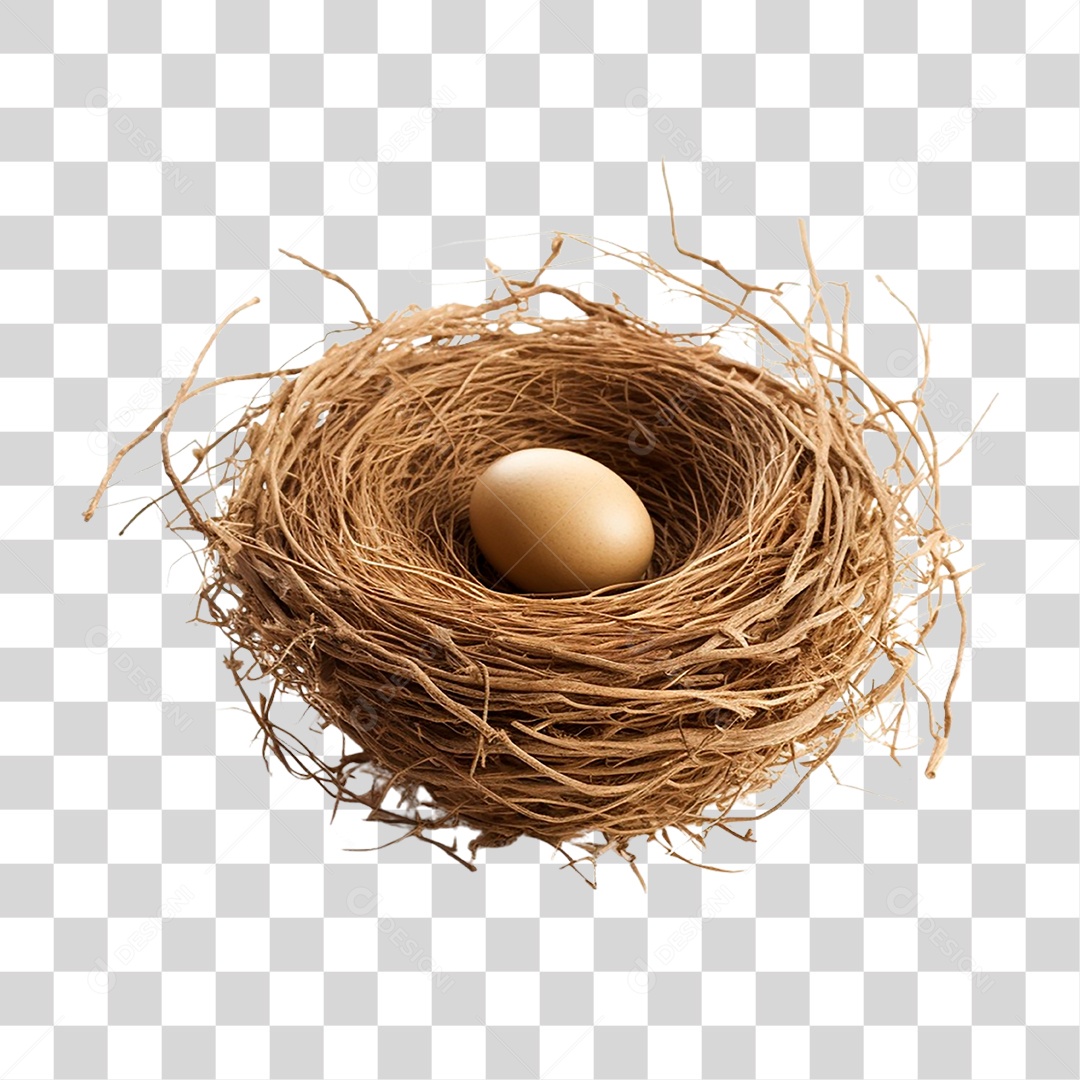Ovo no Ninho PNG Transparente