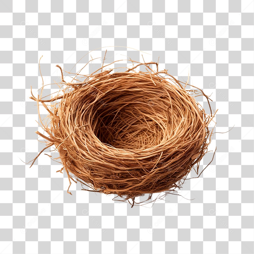 Ninho PNG Transparente