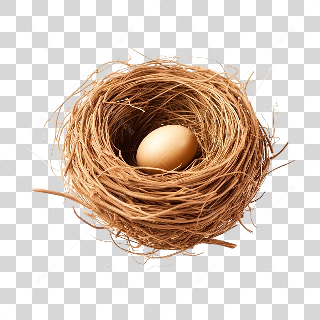 Ovo no Ninho PNG Transparente
