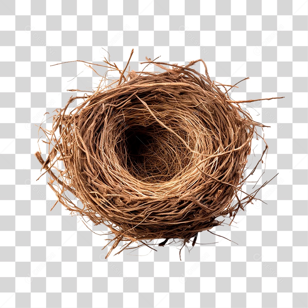 Ninho PNG Transparente