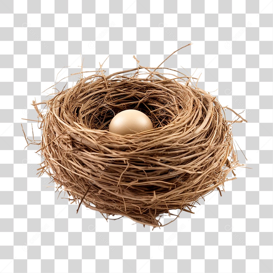 Ovo no Ninho PNG Transparente