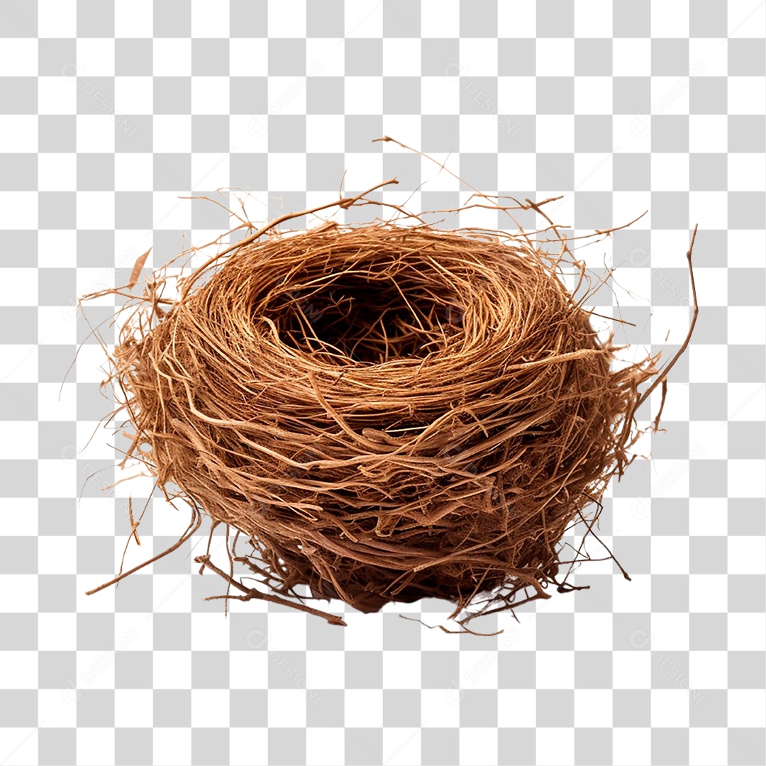 Ovo no Ninho PNG Transparente