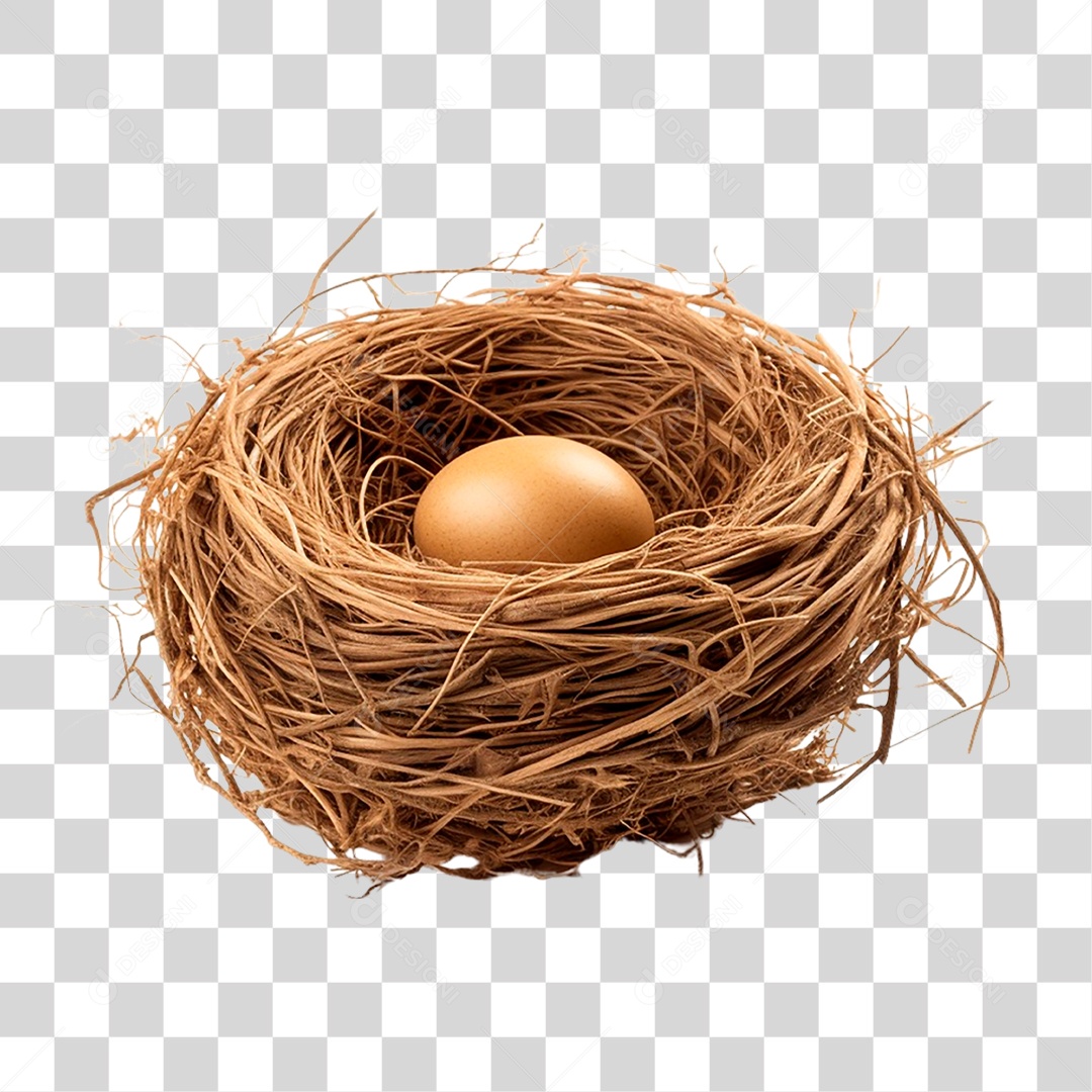 Ovo no Ninho PNG Transparente