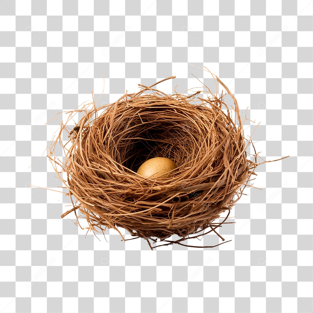 Ovo no Ninho PNG Transparente