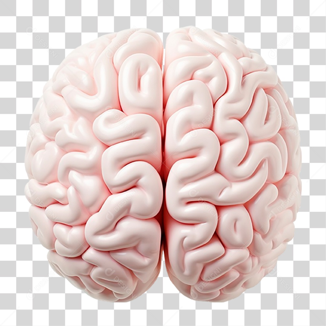 Cérebro Humano PNG Transparente