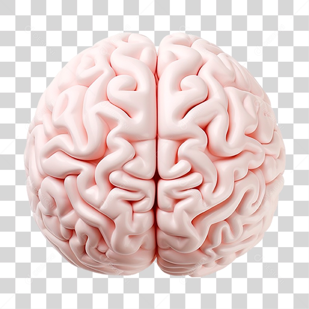 Cérebro Humano PNG Transparente