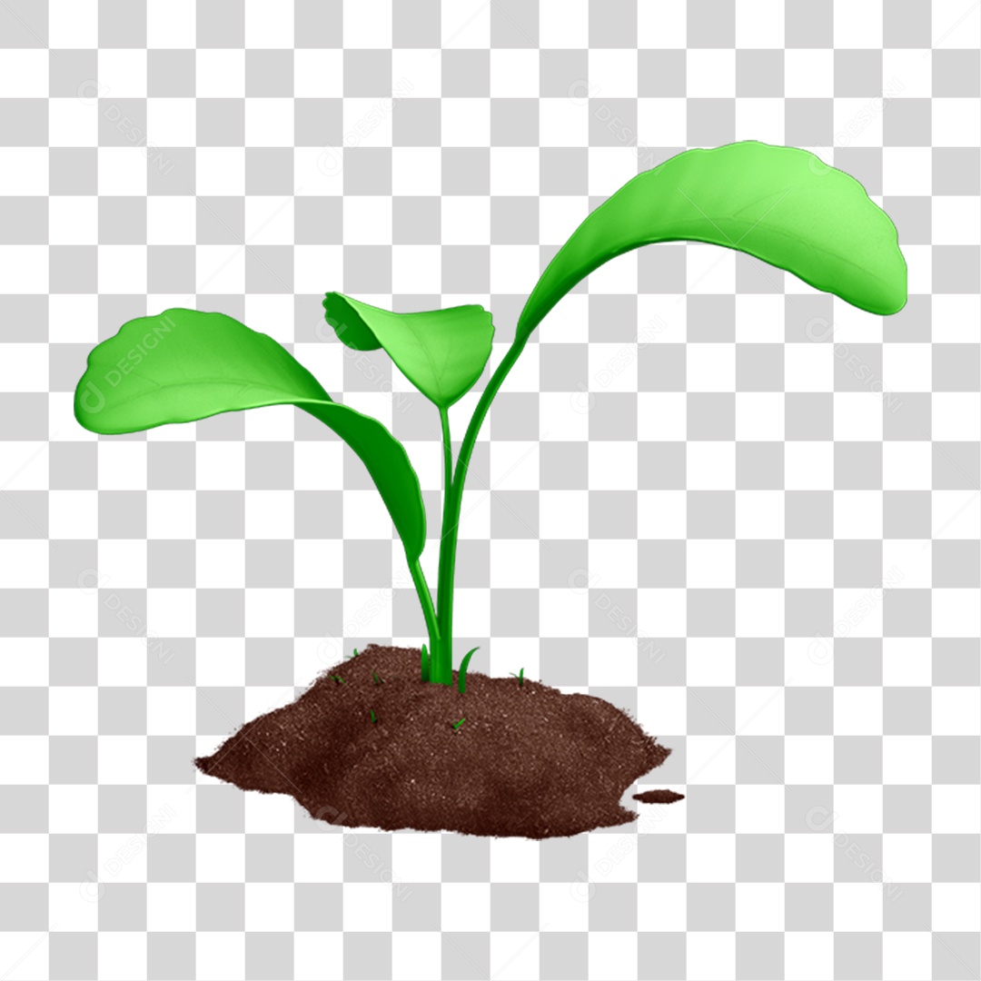 Elemento 3D Muda de Planta PNG Transparente