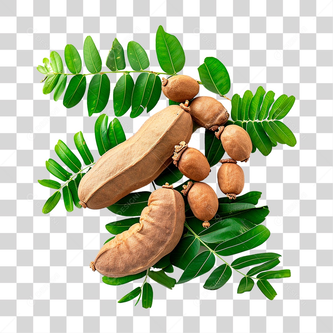 Tamarindo Maduro PNG Transparente