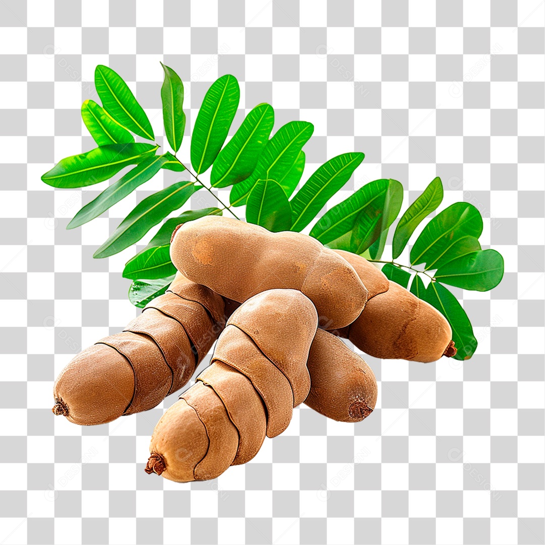 Tamarindo Maduro PNG Transparente