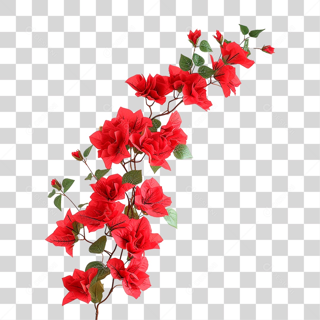 Flores de Buganvília PNG Transparente