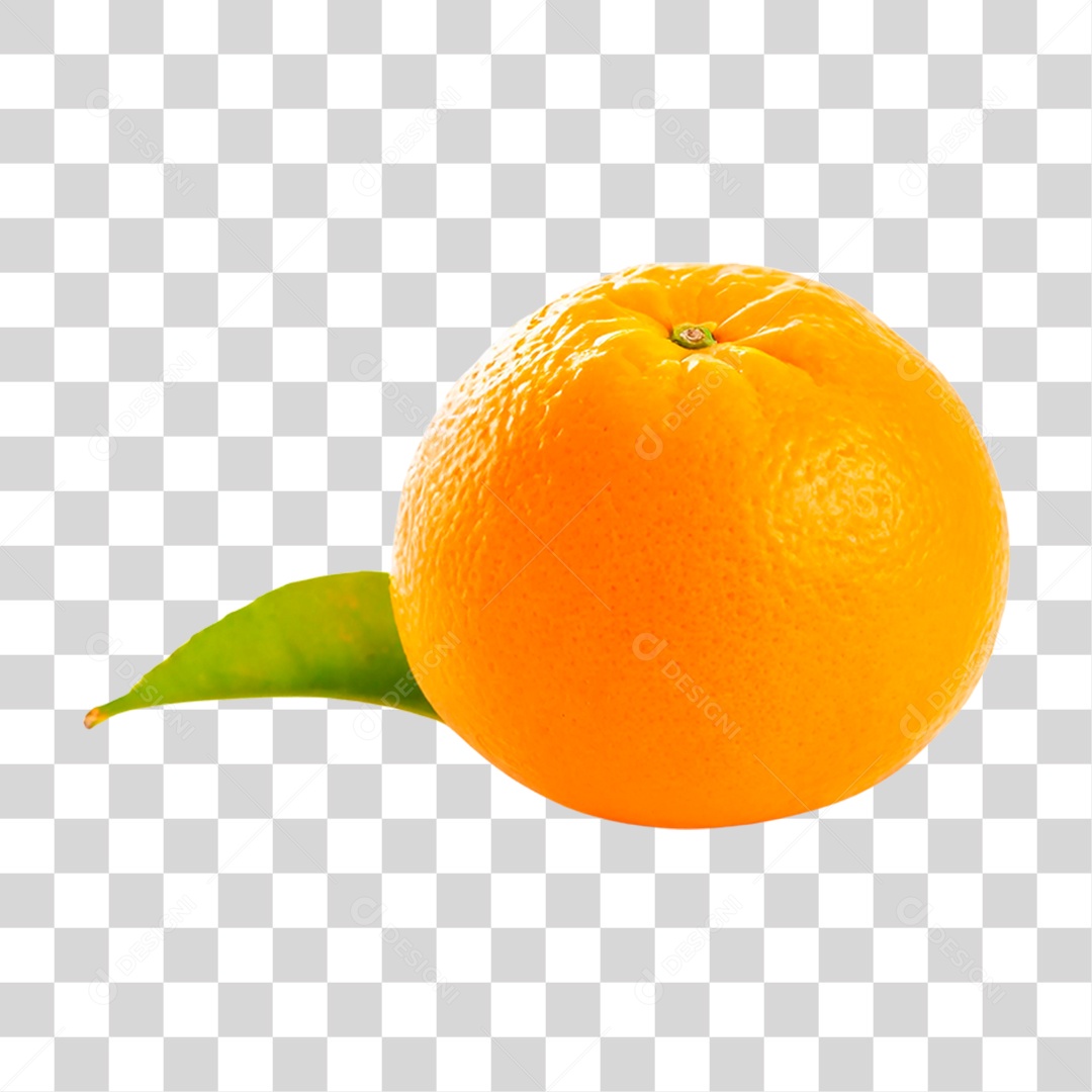 Laranja Madura PNG Transparente