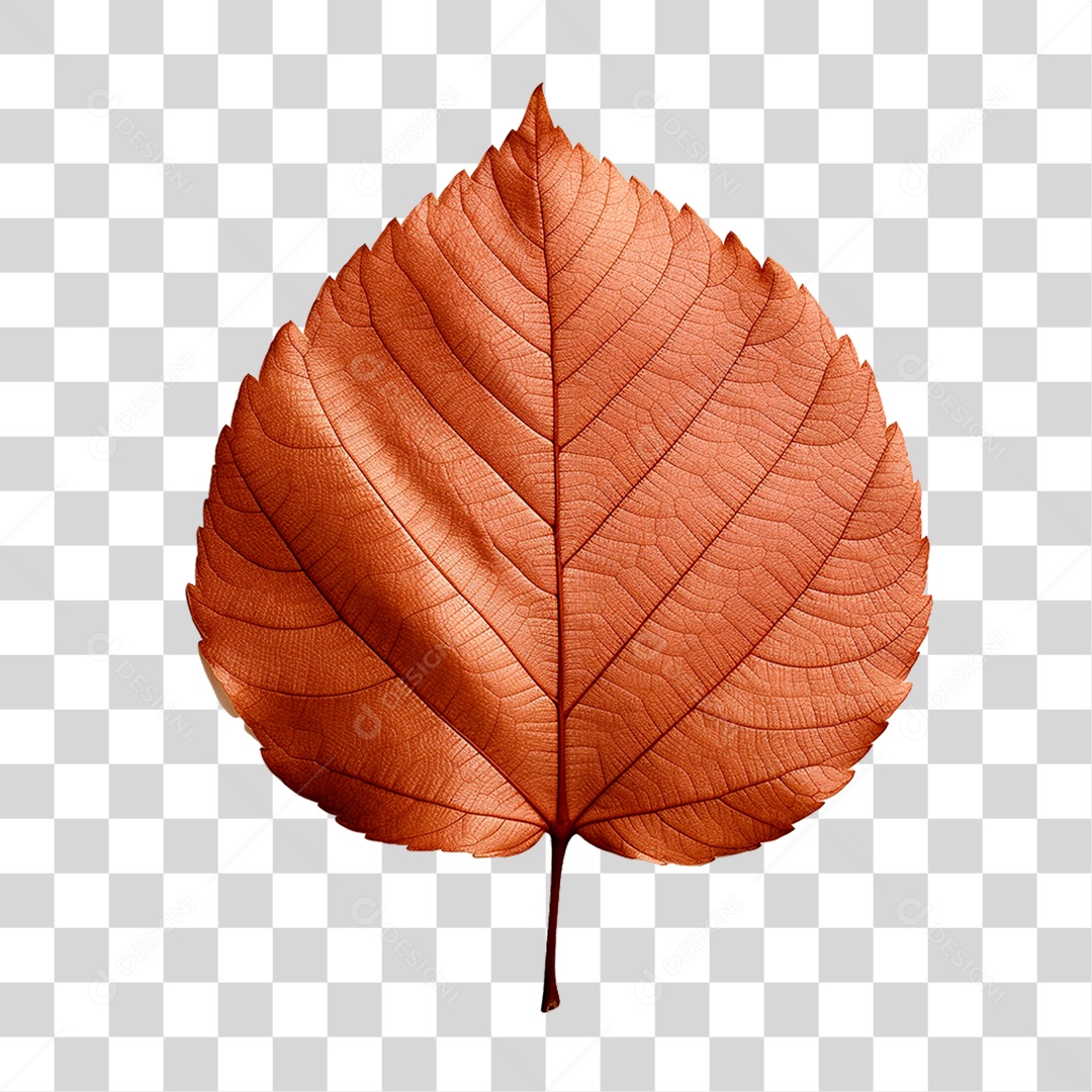 Folha Seca PNG Transparente