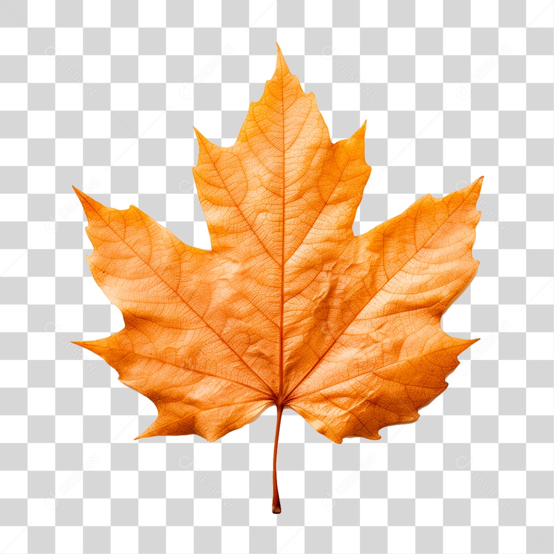 Folha Seca PNG Transparente