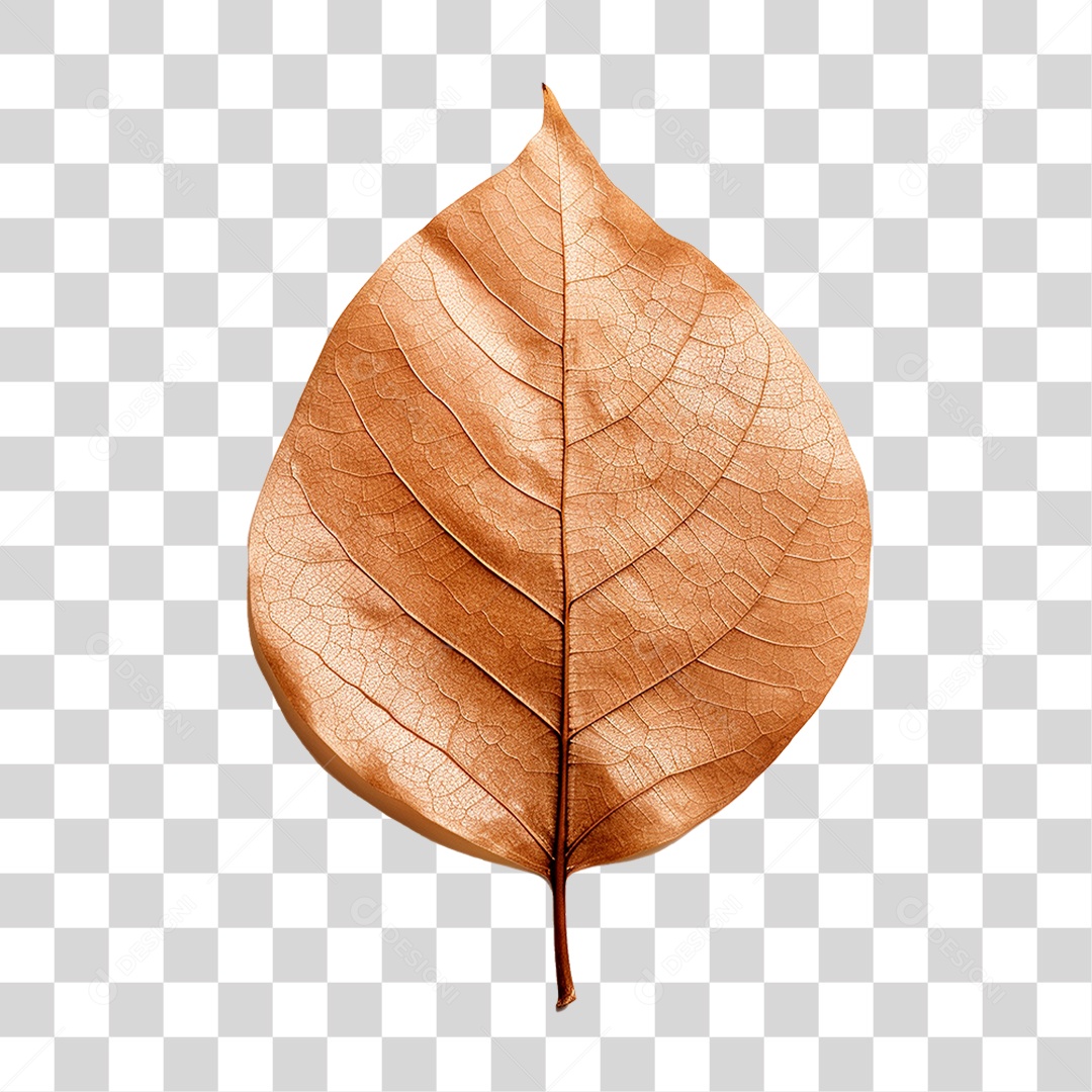 Folha Seca PNG Transparente