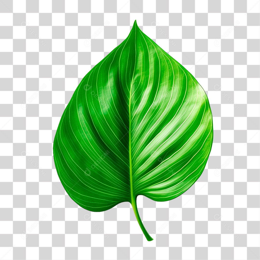 Folha Verde PNG Transparente