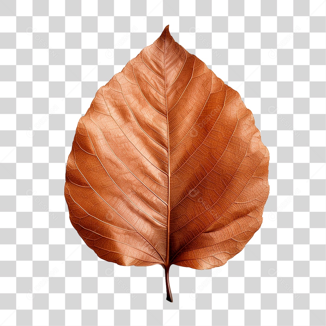 Folha Seca PNG Transparente