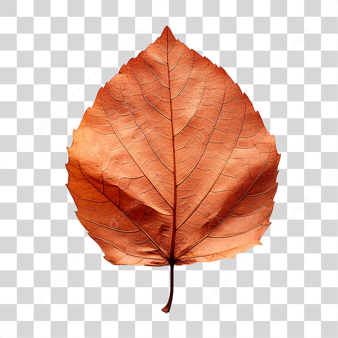 Folha Seca PNG Transparente