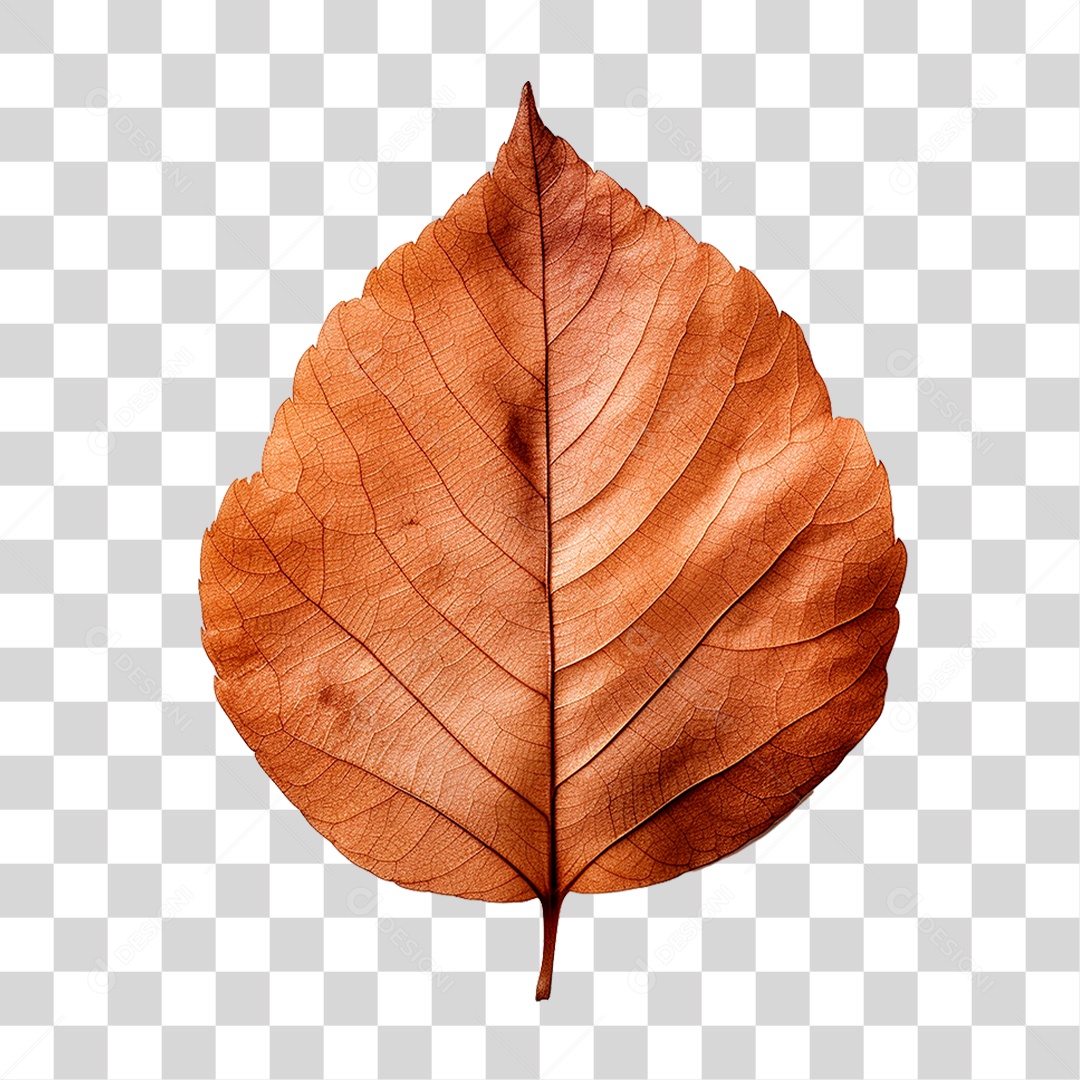 Folha Seca PNG Transparente