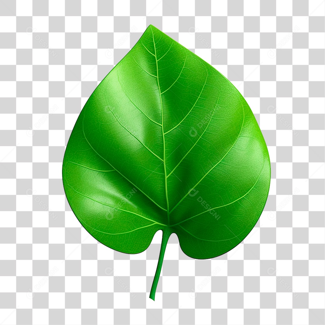 Folha Verde PNG Transparente